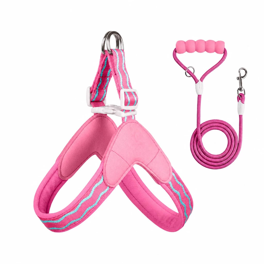 Y-Shaped Nylon Dog Harness and Leash for Small to Medium Dogs
