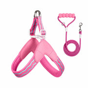 Y-Shaped Nylon Dog Harness and Leash for Small to Medium Dogs