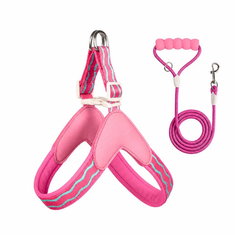 Y-Shaped Nylon Dog Harness and Leash for Small to Medium Dogs