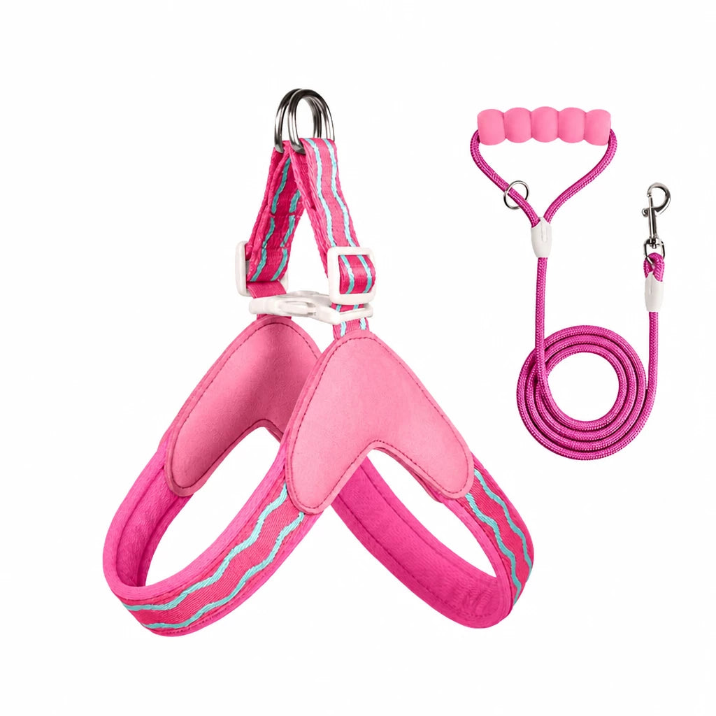 Y-Shaped Nylon Dog Harness and Leash for Small to Medium Dogs