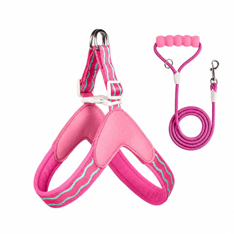 Y-Shaped Nylon Dog Harness and Leash for Small to Medium Dogs