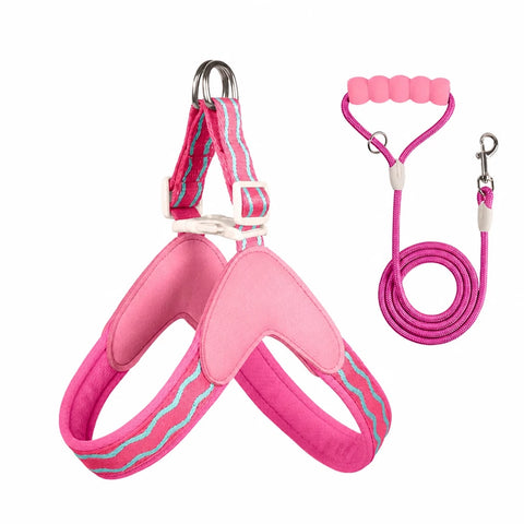 Y-Shaped Nylon Dog Harness and Leash for Small to Medium Dogs