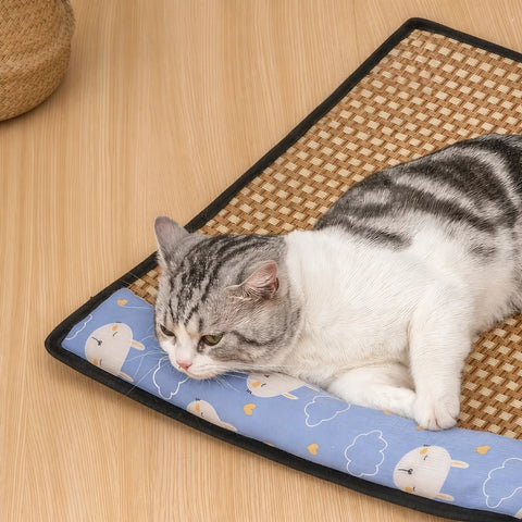 Foam Pillow Pet Bed Mat for Cats and Dogs