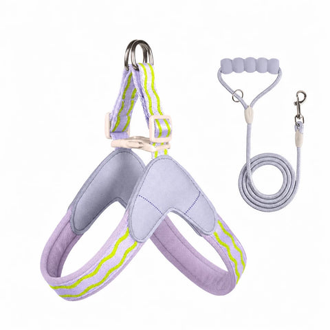 Y-Shaped Nylon Dog Harness and Leash for Small to Medium Dogs