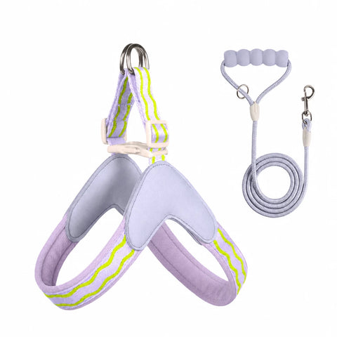 Y-Shaped Nylon Dog Harness and Leash for Small to Medium Dogs