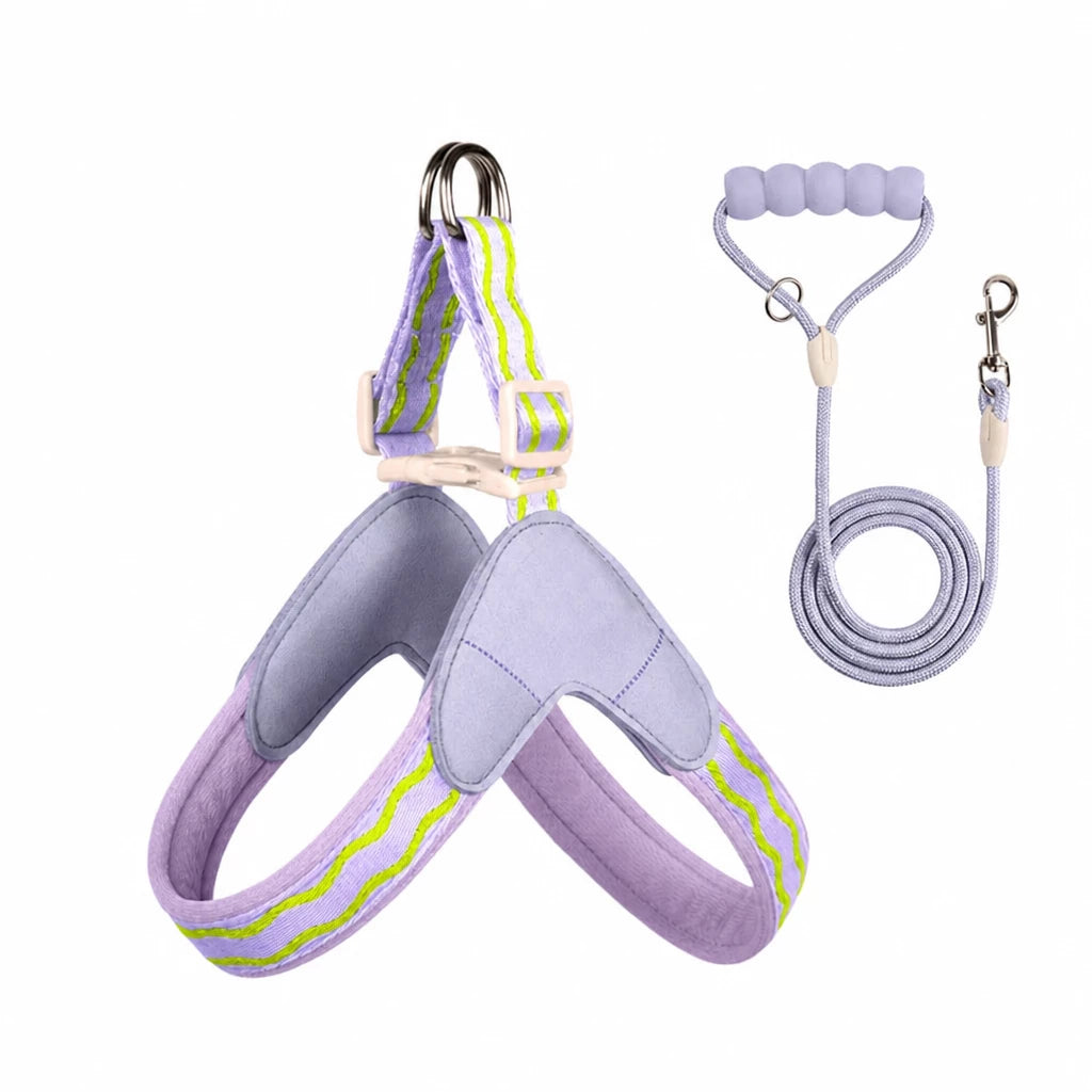 Y-Shaped Nylon Dog Harness and Leash for Small to Medium Dogs
