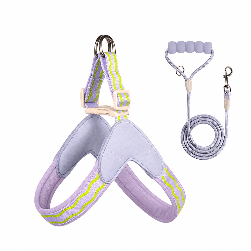 Y-Shaped Nylon Dog Harness and Leash for Small to Medium Dogs
