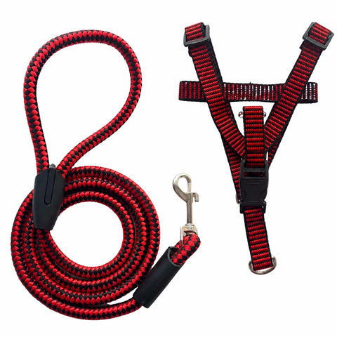 Adjustable Nylon Dog Harness & Leash Set