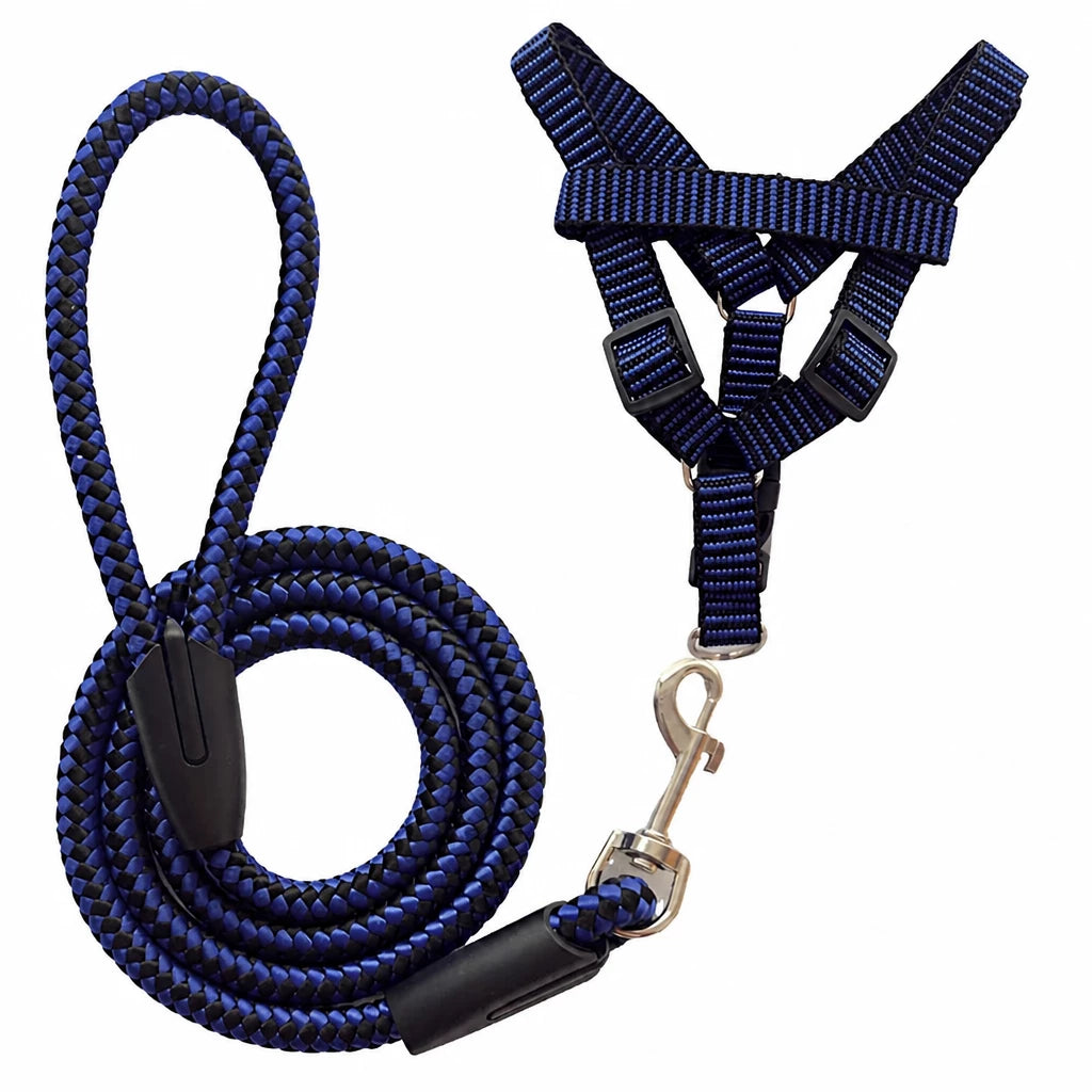 Adjustable Nylon Dog Harness & Leash Set