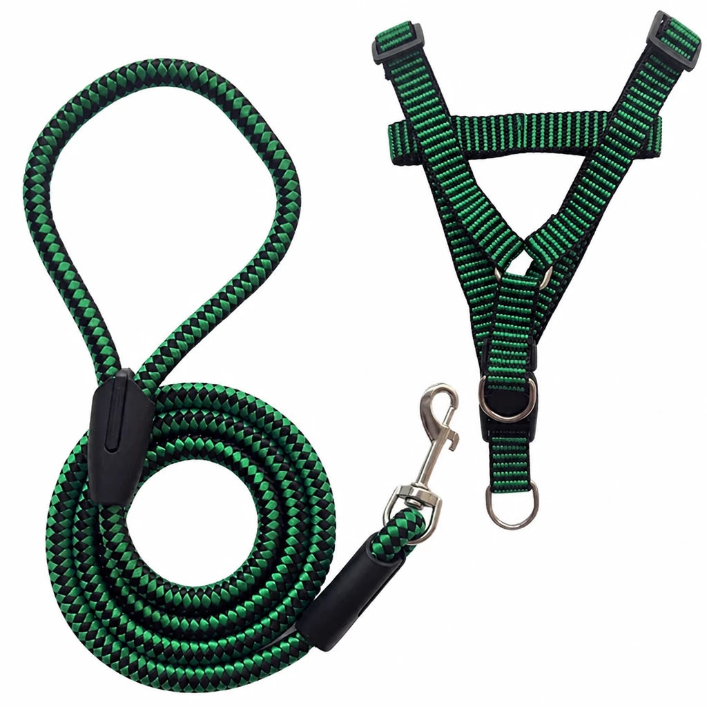 Adjustable Nylon Dog Harness & Leash Set