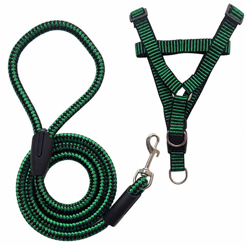 Adjustable Nylon Dog Harness & Leash Set