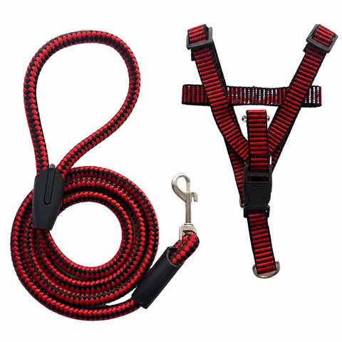Adjustable Nylon Dog Harness & Leash Set