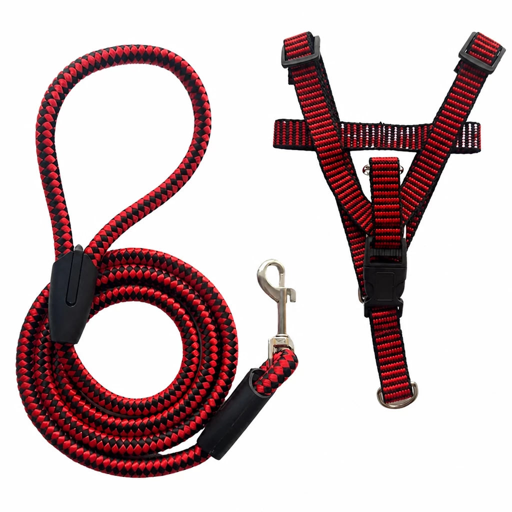 Adjustable Nylon Dog Harness & Leash Set
