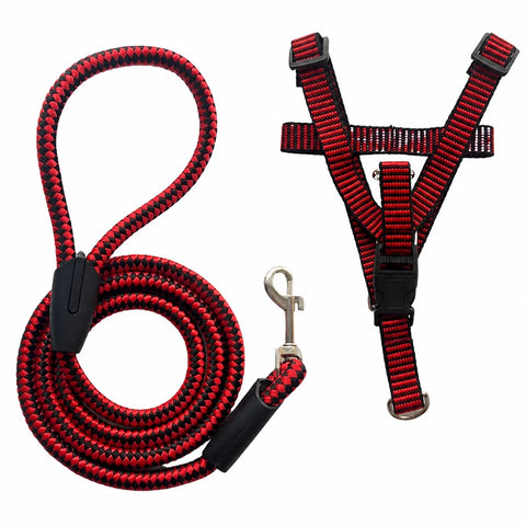 Adjustable Nylon Dog Harness & Leash Set