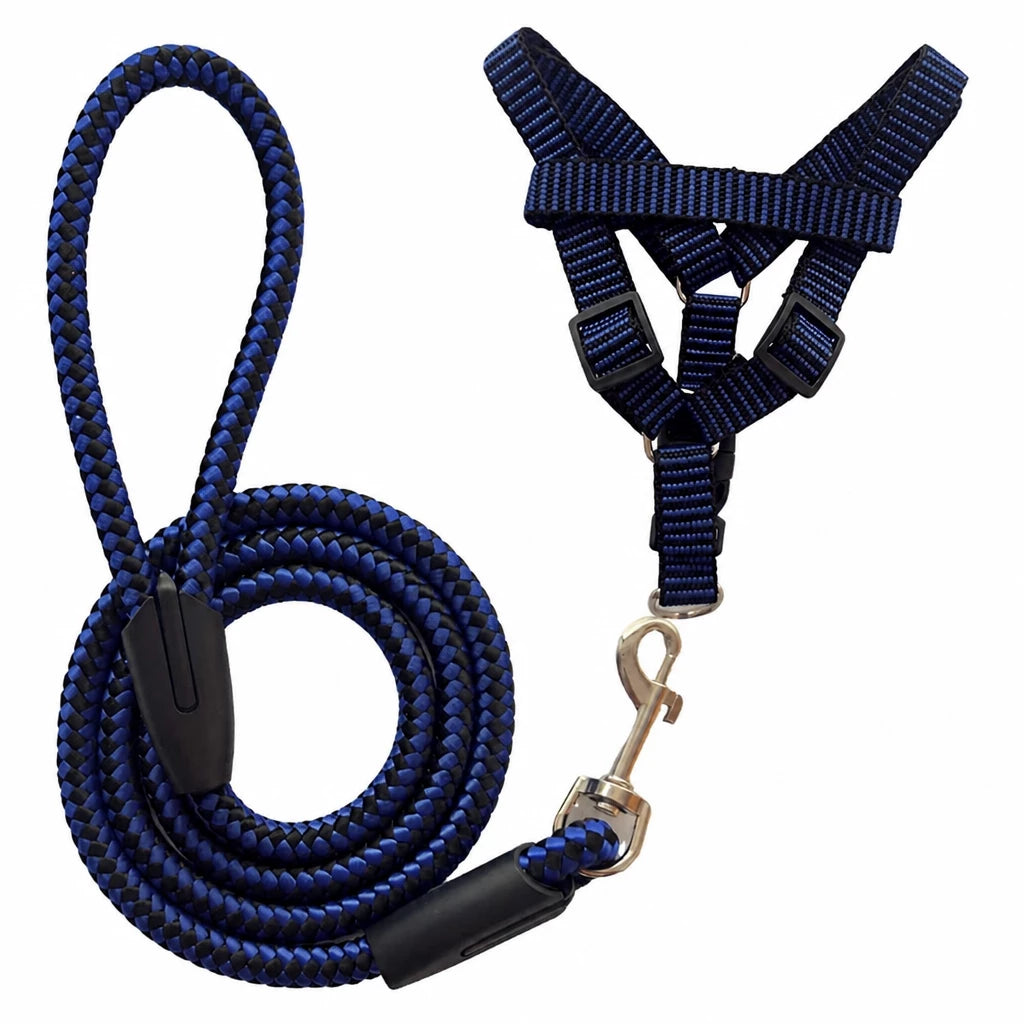 Adjustable Nylon Dog Harness & Leash Set