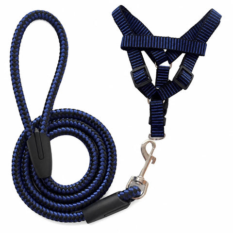 Adjustable Nylon Dog Harness & Leash Set