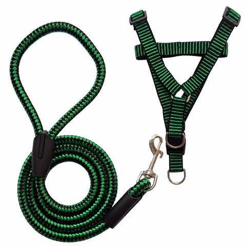 Adjustable Nylon Dog Harness & Leash Set