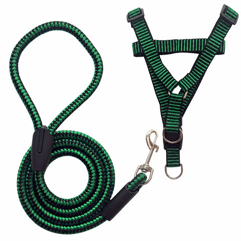 Adjustable Nylon Dog Harness & Leash Set