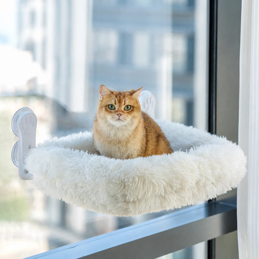 Cat Window Hammock with Suction Cups