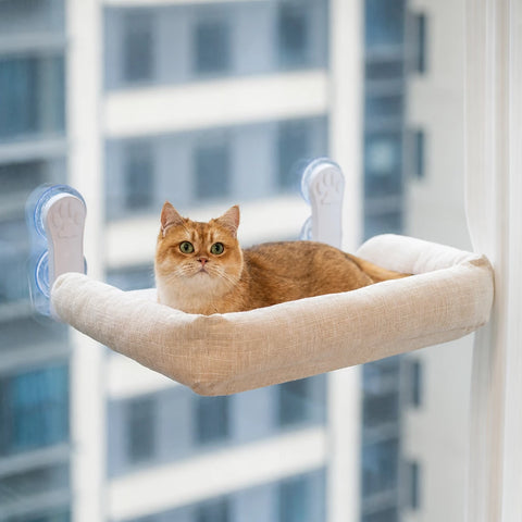Cat Window Hammock with Suction Cups