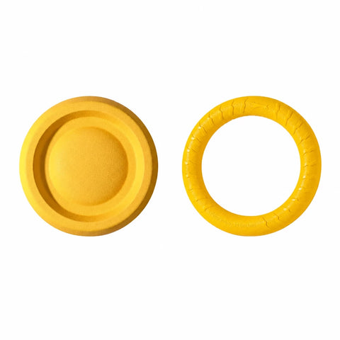 Floating Dog Frisbee Toy for Fetch and Water Play