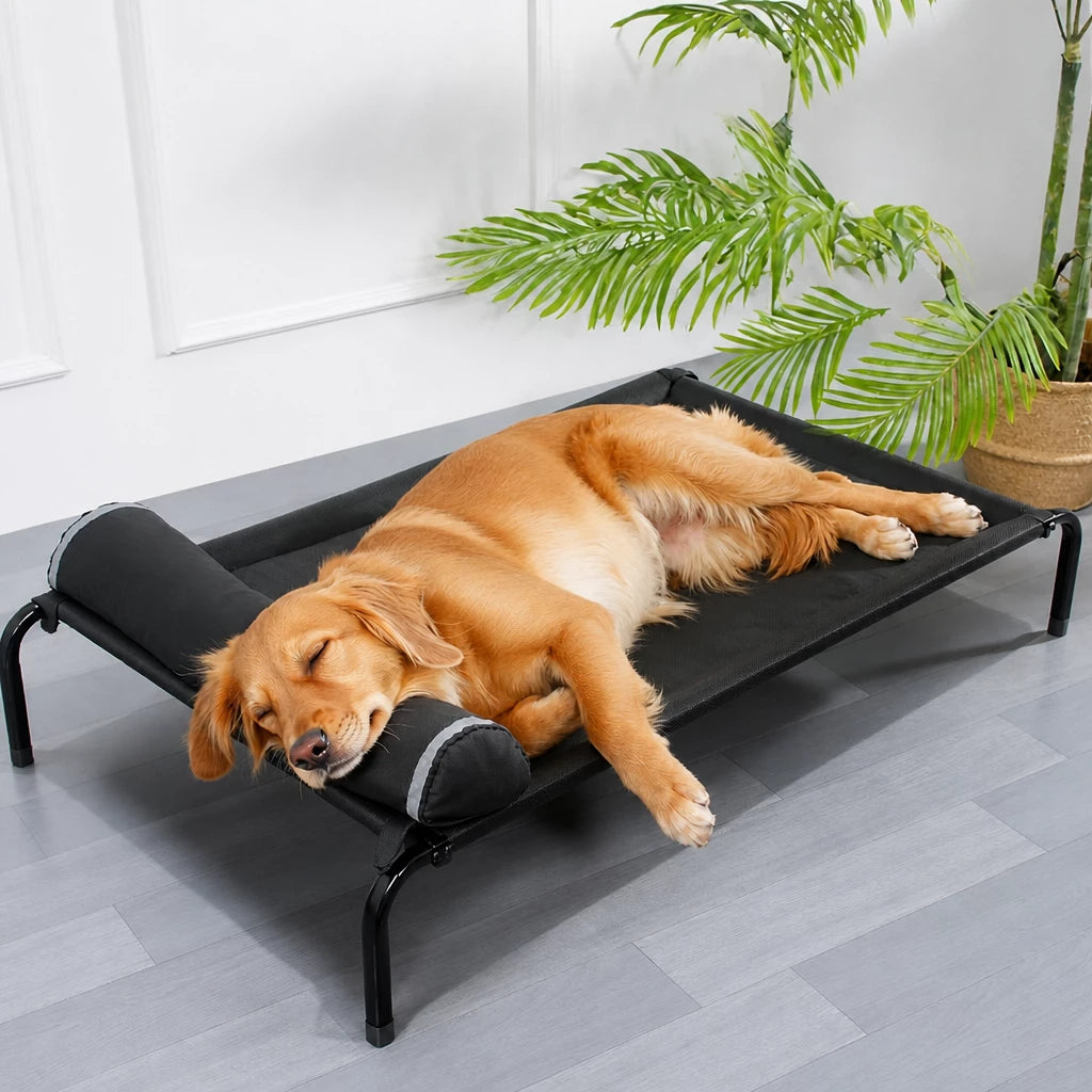 Elevated Nylon Dog Cot Bed with Removable, Washable Design