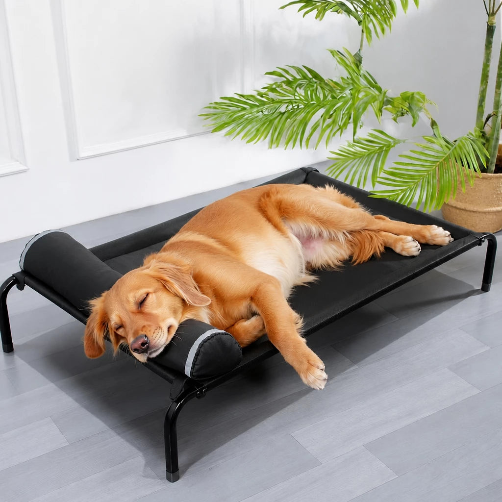 Elevated Nylon Dog Cot Bed with Removable, Washable Design