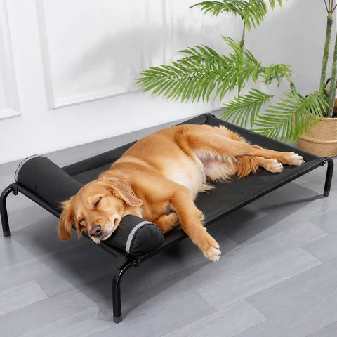 Elevated Nylon Dog Cot Bed with Removable, Washable Design