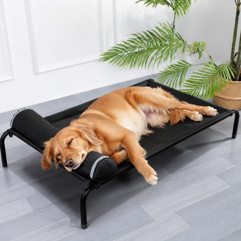 Elevated Nylon Dog Cot Bed with Removable, Washable Design
