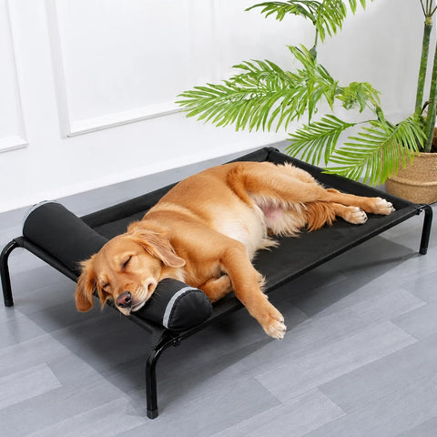 Elevated Nylon Dog Cot Bed with Removable, Washable Design