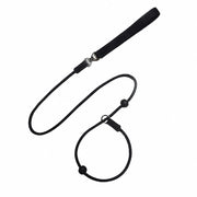 One-Piece Nylon Rope Training Leash for Small and Medium Dogs