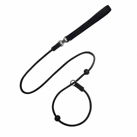 One-Piece Nylon Rope Training Leash for Small and Medium Dogs