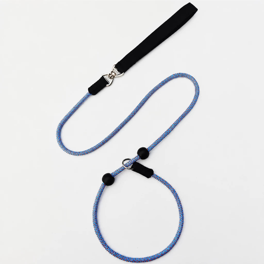 One-Piece Nylon Rope Training Leash for Small and Medium Dogs