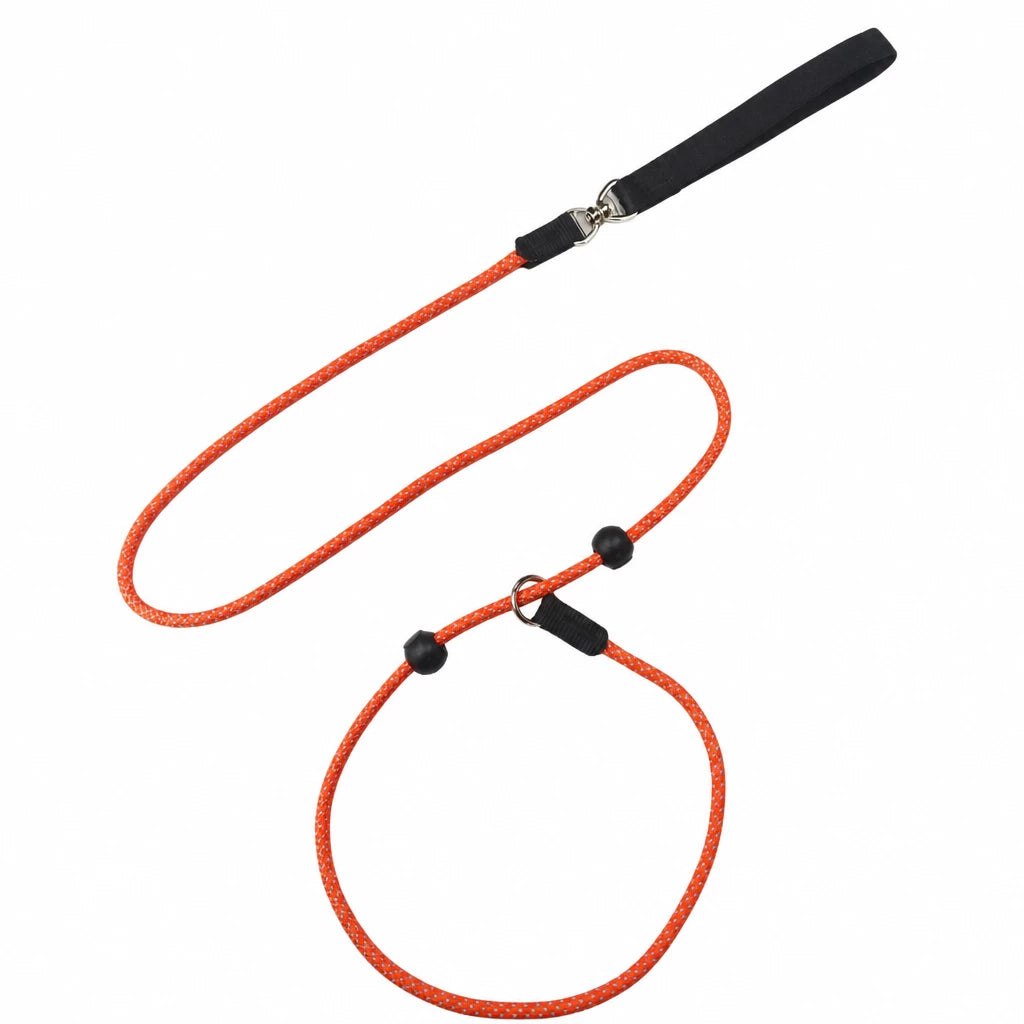 One-Piece Nylon Rope Training Leash for Small and Medium Dogs