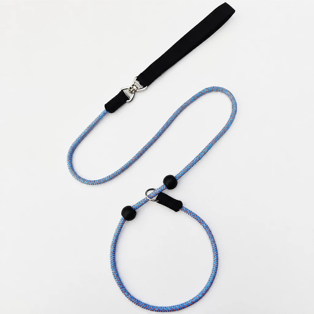 One-Piece Nylon Rope Training Leash for Small and Medium Dogs