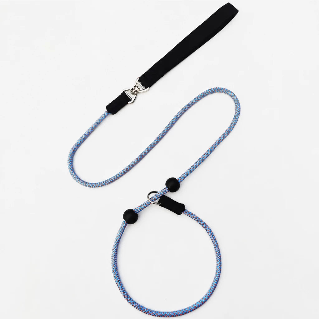 One-Piece Nylon Rope Training Leash for Small and Medium Dogs