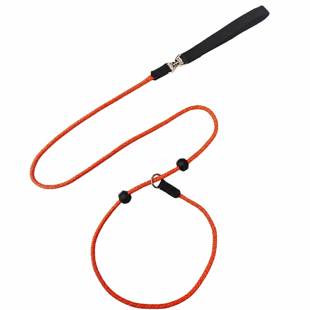 One-Piece Nylon Rope Training Leash for Small and Medium Dogs