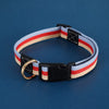 Adjustable Canvas Dog Collar