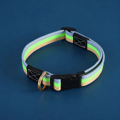 Adjustable Canvas Dog Collar