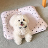 Waterproof Nylon Pet Mat for Cats and Small Dogs