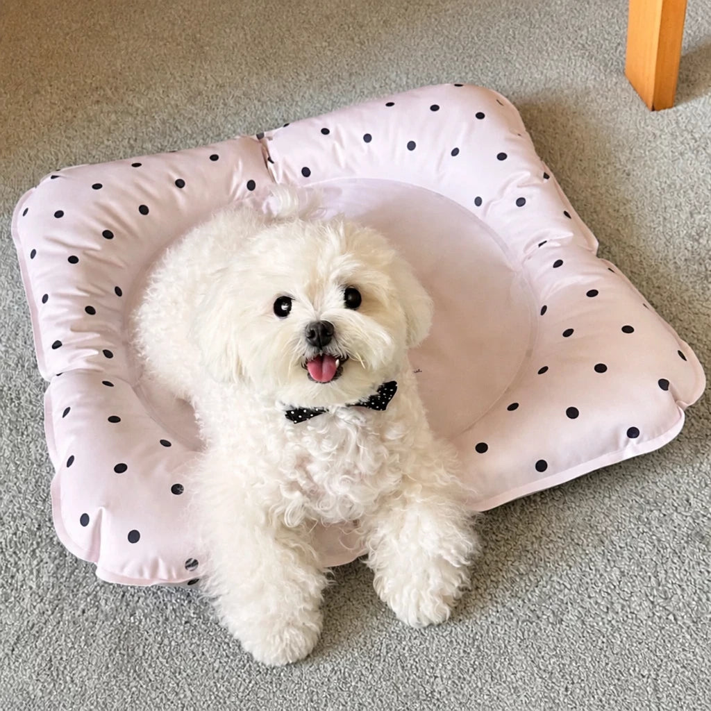 Waterproof Nylon Pet Mat for Cats and Small Dogs