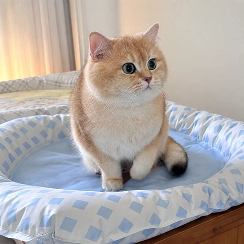 Waterproof Nylon Pet Mat for Cats and Small Dogs