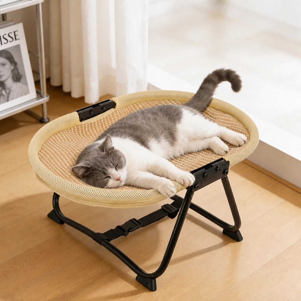 Foldable Elevated Oval Pet Cot for Cats & Dogs