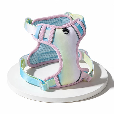 Polyester H-Style Dog Harness for Everyday Walks