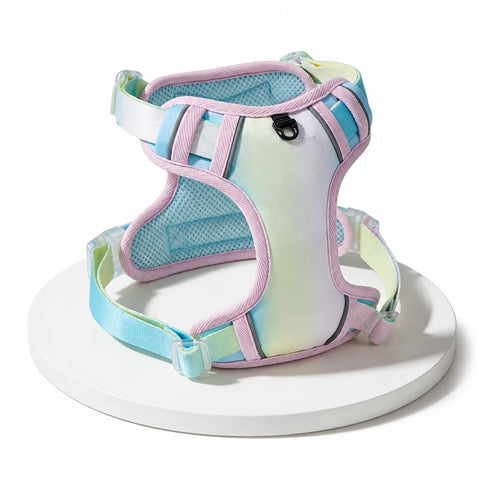 Polyester H-Style Dog Harness for Everyday Walks