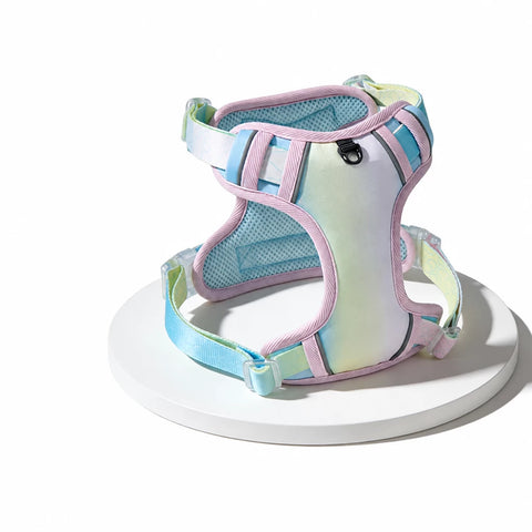 Polyester H-Style Dog Harness for Everyday Walks