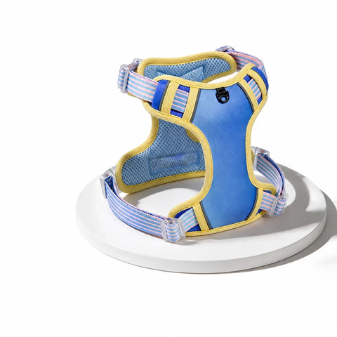 Polyester H-Style Dog Harness for Everyday Walks