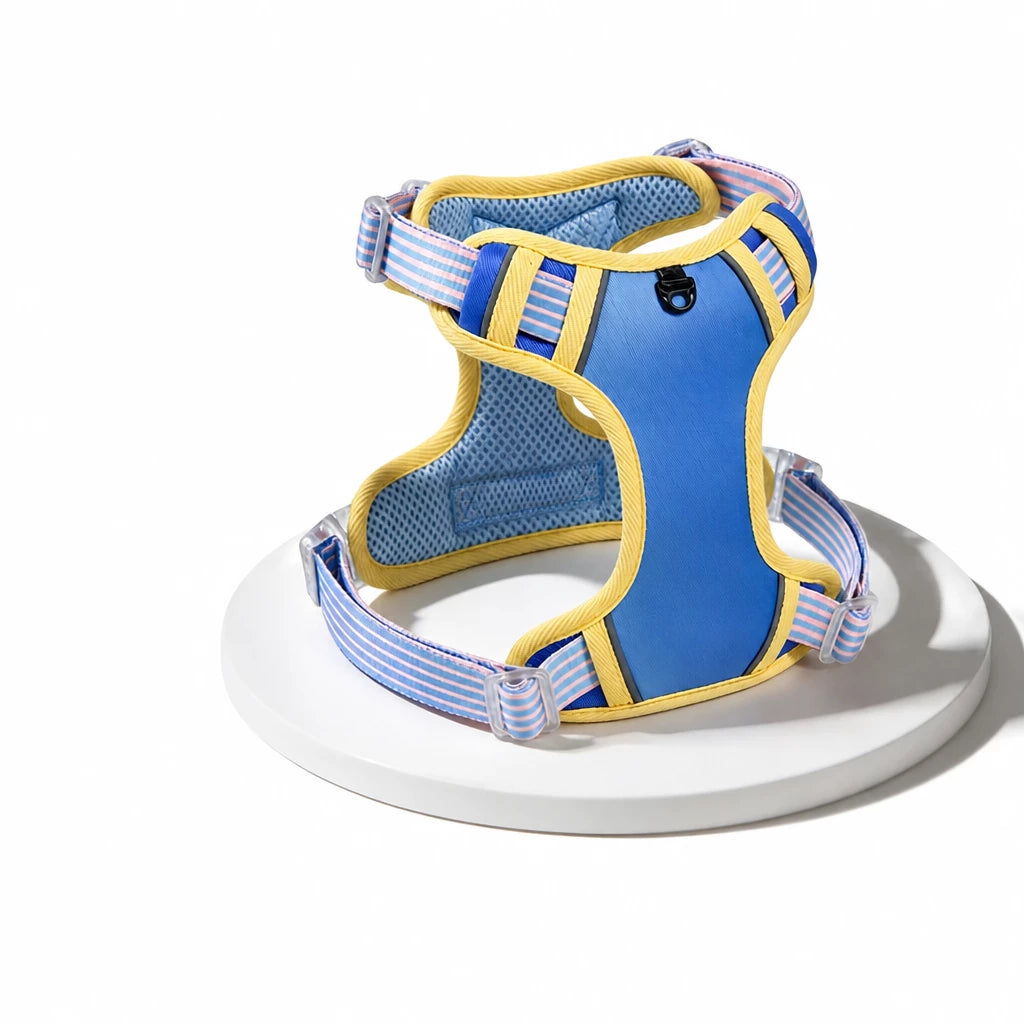 Polyester H-Style Dog Harness for Everyday Walks