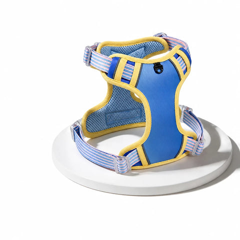 Polyester H-Style Dog Harness for Everyday Walks