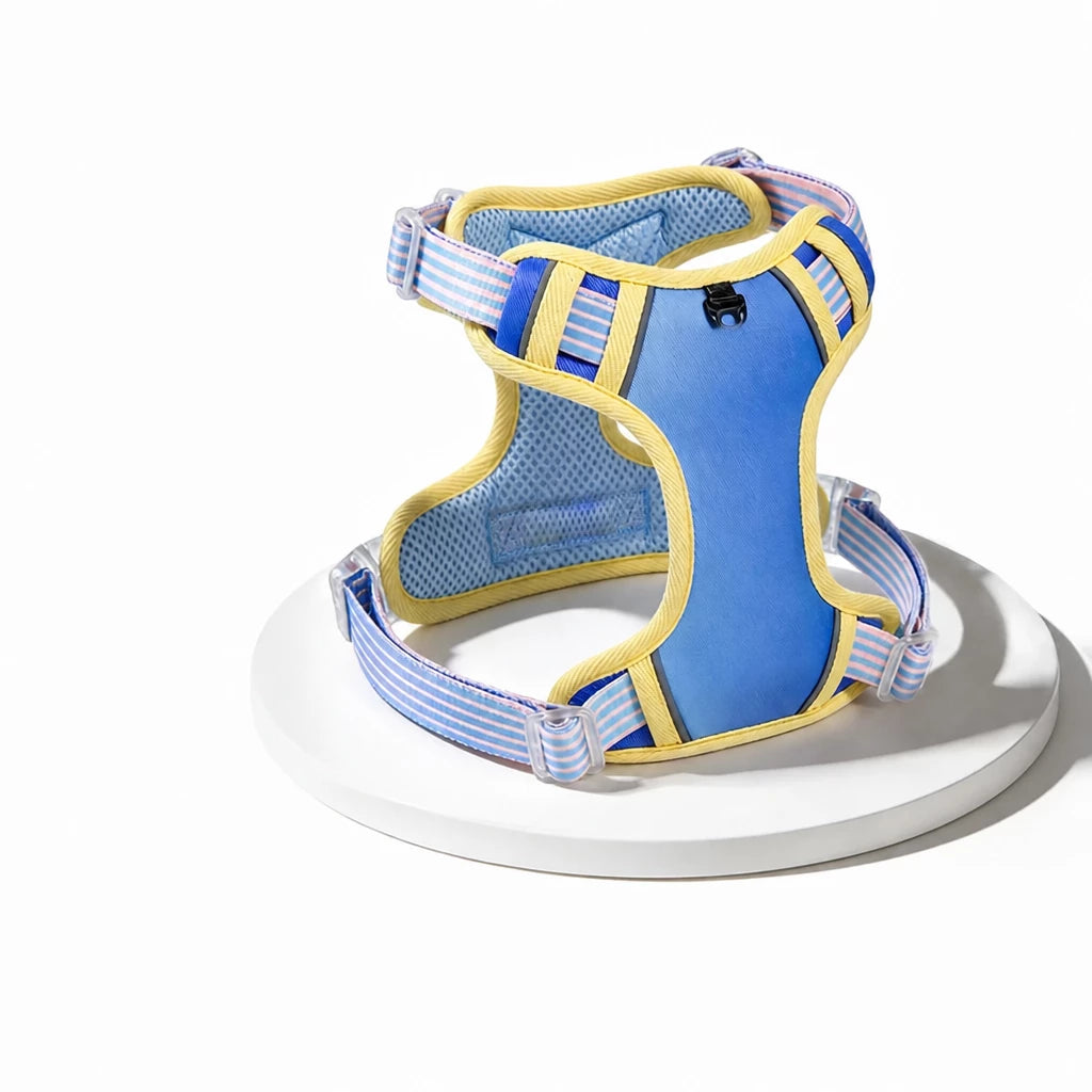 Polyester H-Style Dog Harness for Everyday Walks